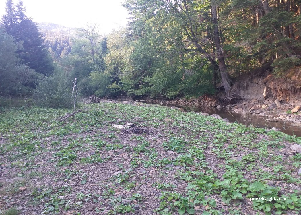 (38) Łubne - Unnamed Road — foto