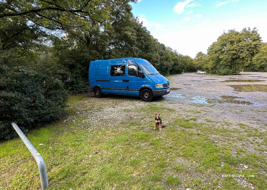 (40880) Ratingen - Volkardeyer Str. — foto