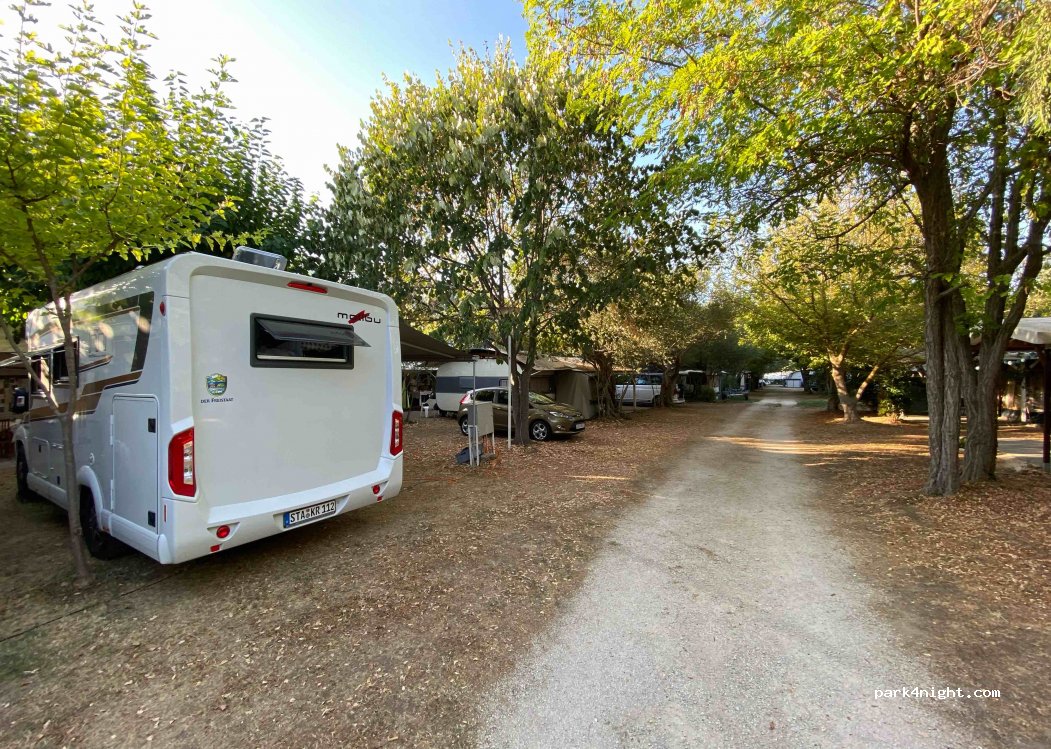Camp Oliva — foto 2