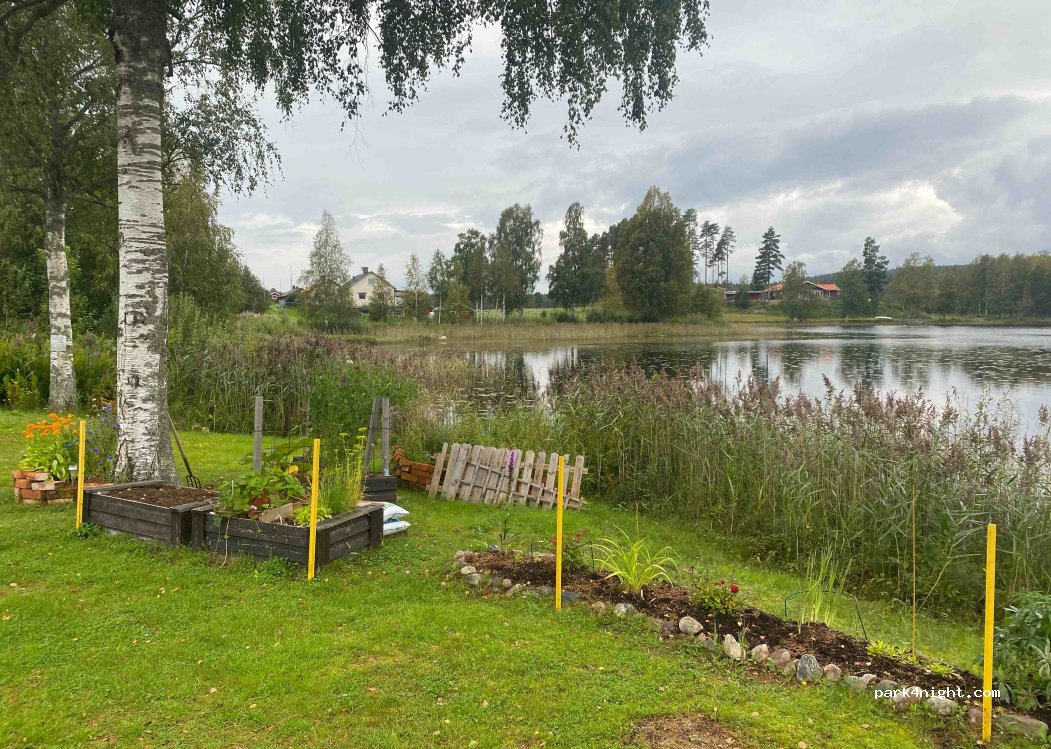 Lumshedens Camping — foto 2