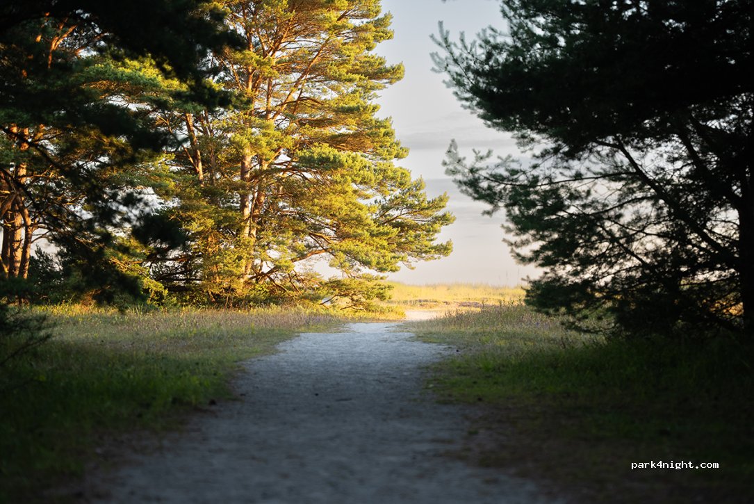 Sandviken Strand — foto 3