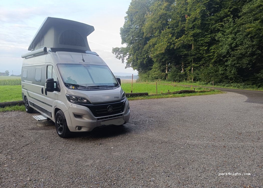 (8564) Wäldi - — foto 3