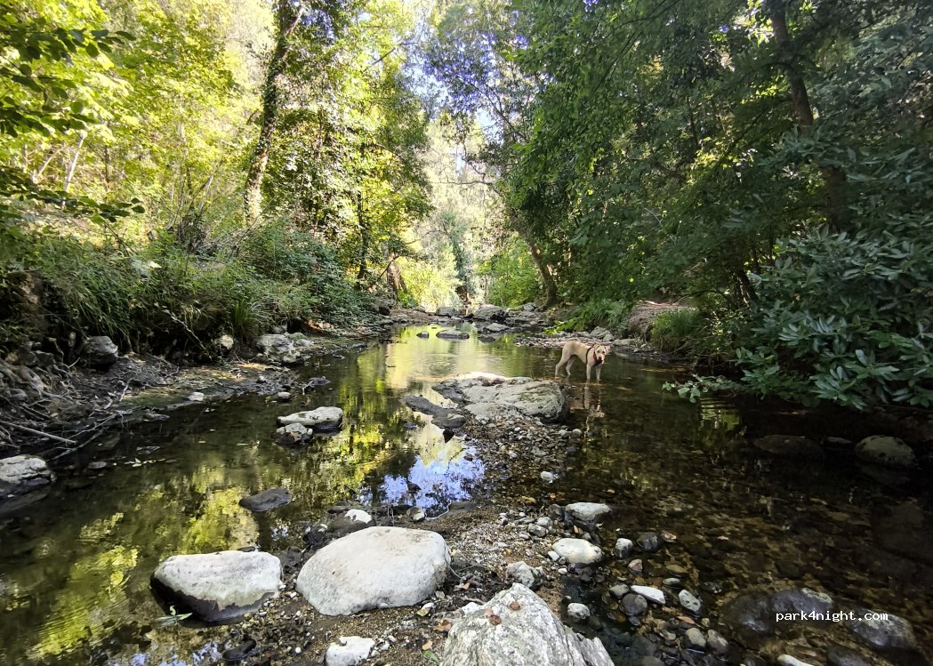 (06410) Biot - 1 Route de l'Agasse — foto 3