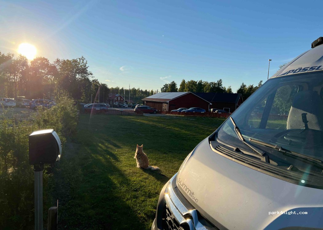 (733 92)  - 100 NORRBY FALLET — foto