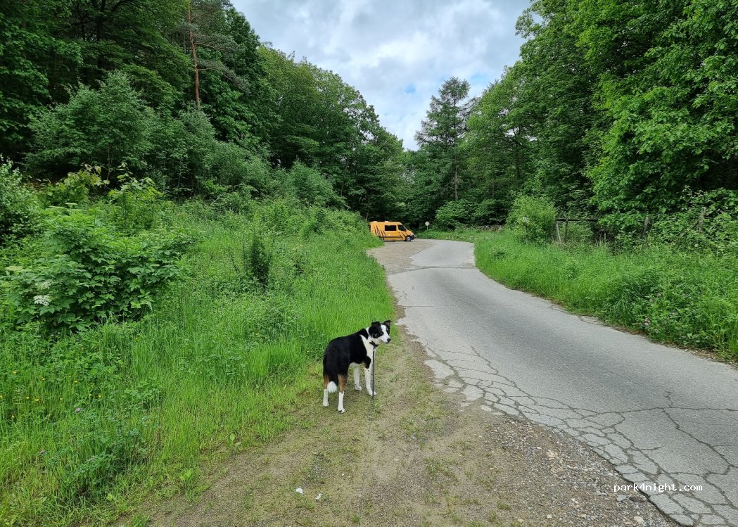 (52393) Hürtgenwald - Wäschbachweg — foto 3