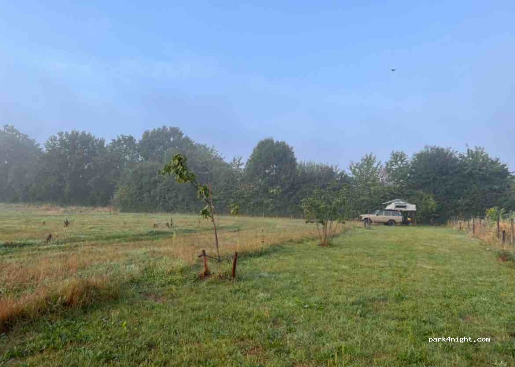 De Steenuil — foto 4