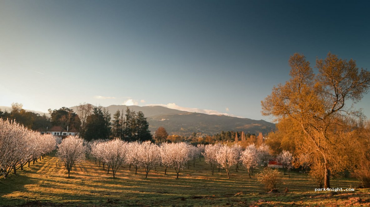 Quinta Da Pedra Alta — foto 2