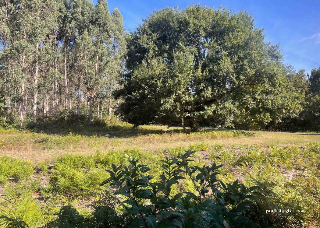 (40200) Pontenx-les-Forges - — foto