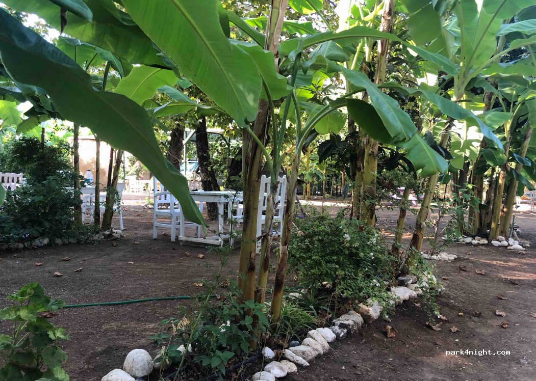 Bellerofon Caravan & Camping — foto 2