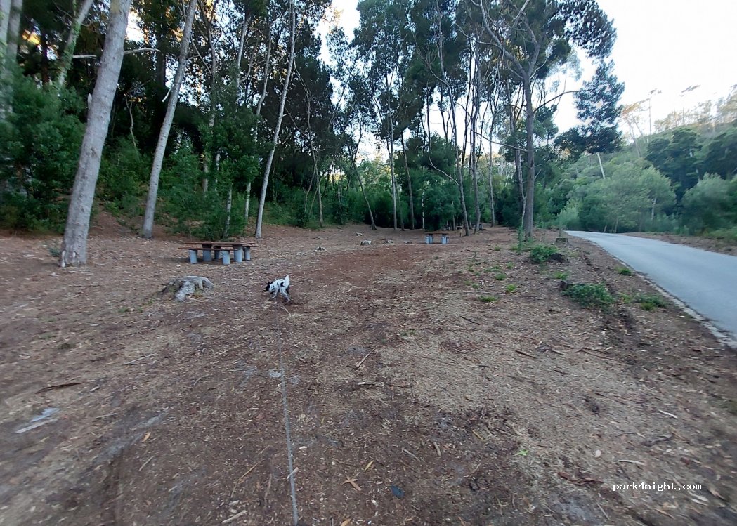 (2430) Marinha Grande - Unnamed Road — foto