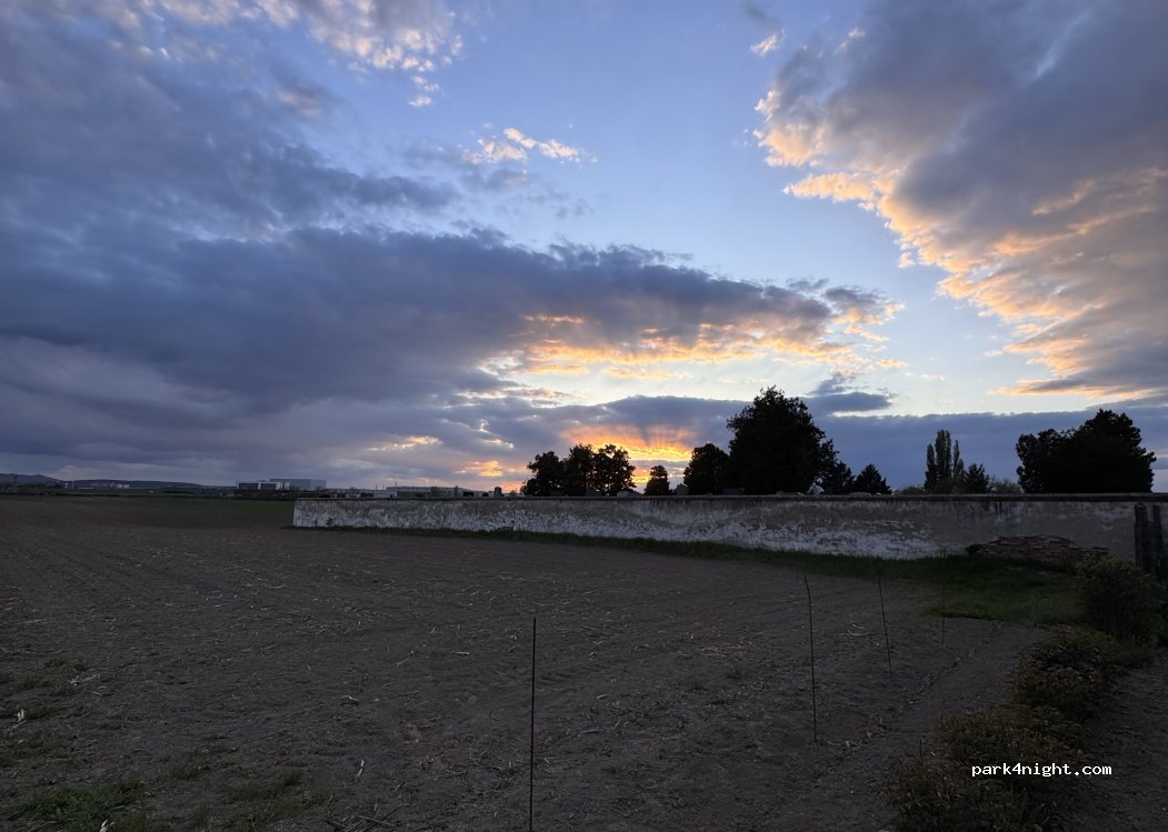 Weingut Mauser — foto 5