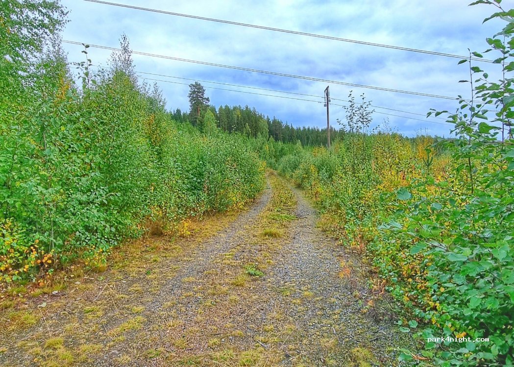 (881 94) Sollefteå - — foto 2