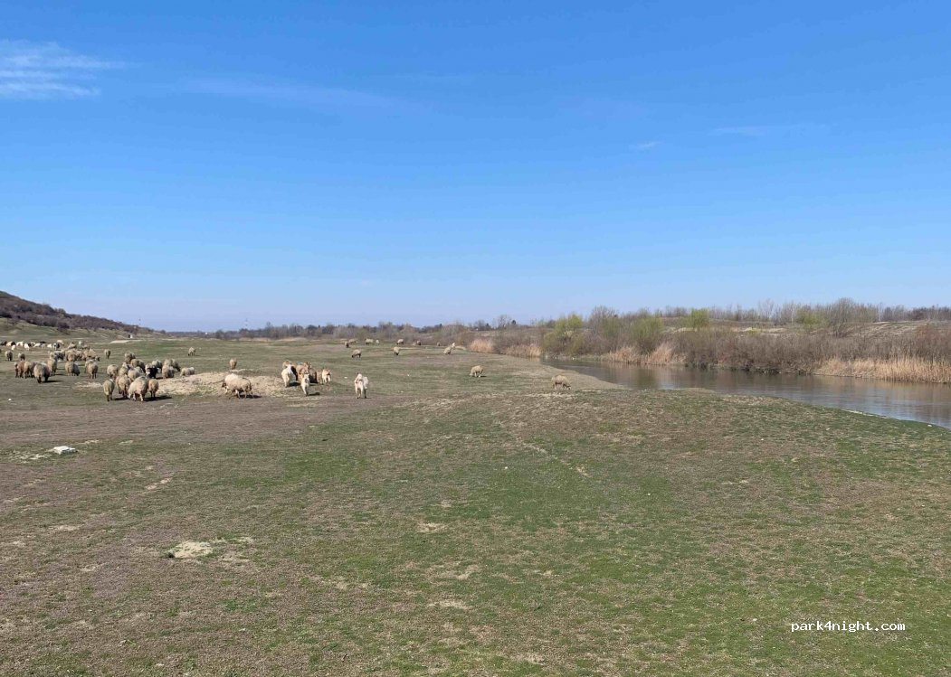 (87105) Gostinari - — foto 3