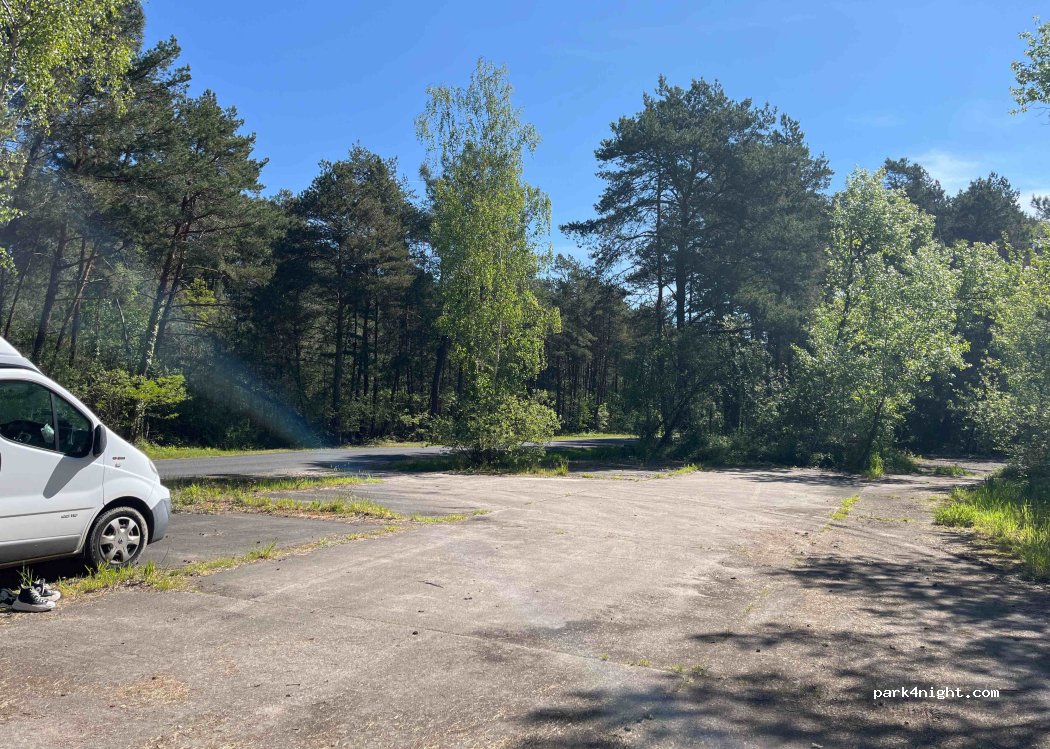 (37500) Saint-Benoît-la-Forêt - — foto 3