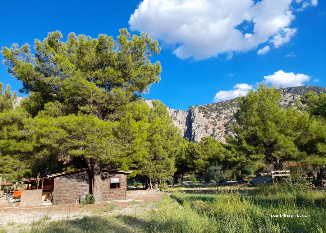 The XanyoN — foto 2