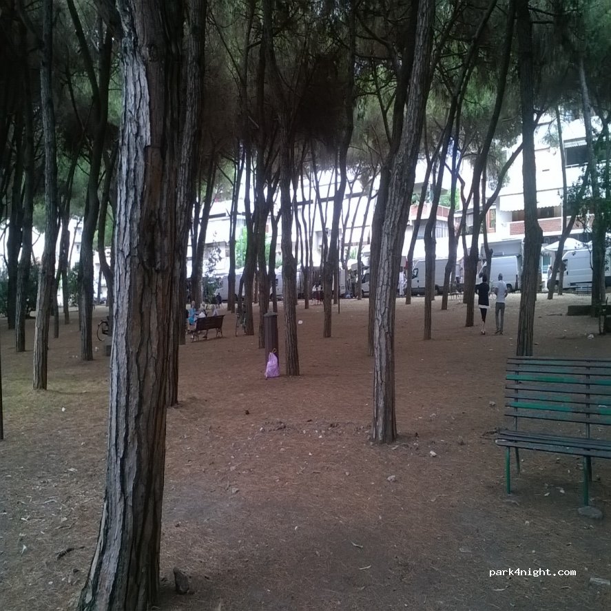(54033) Carrara - 2 Viale Cristoforo Colombo — foto 2