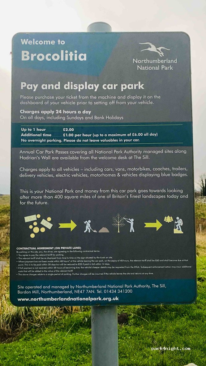 Brocolitia car park — foto 2