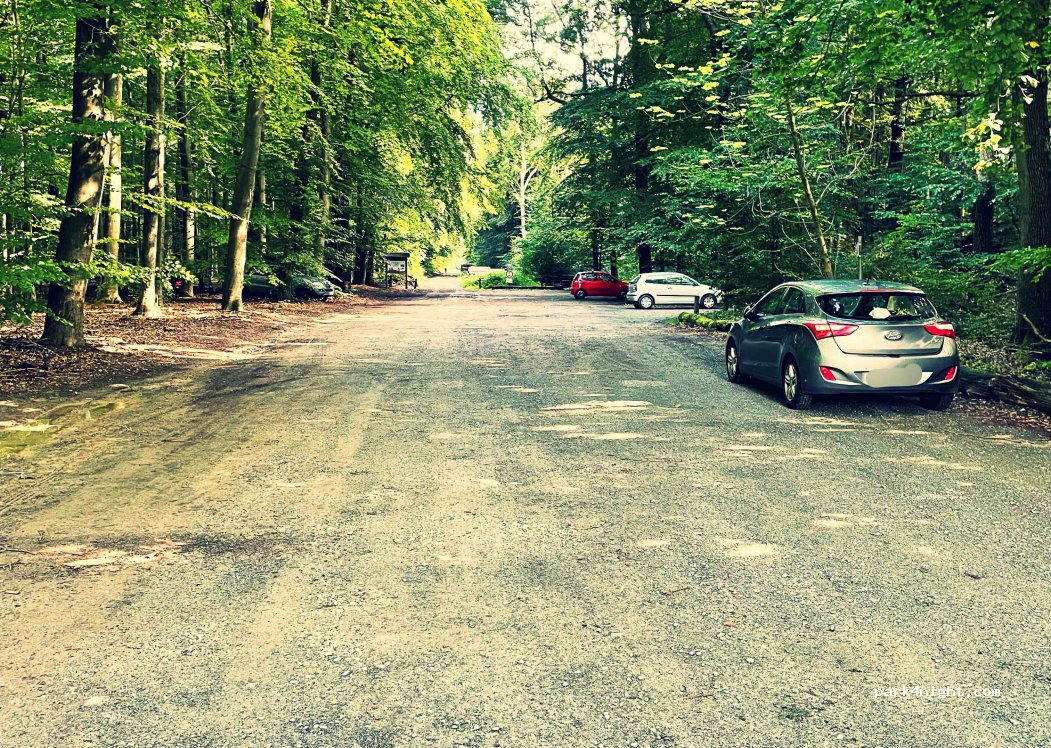 (29345) Südheide - Müdener Strasse — foto