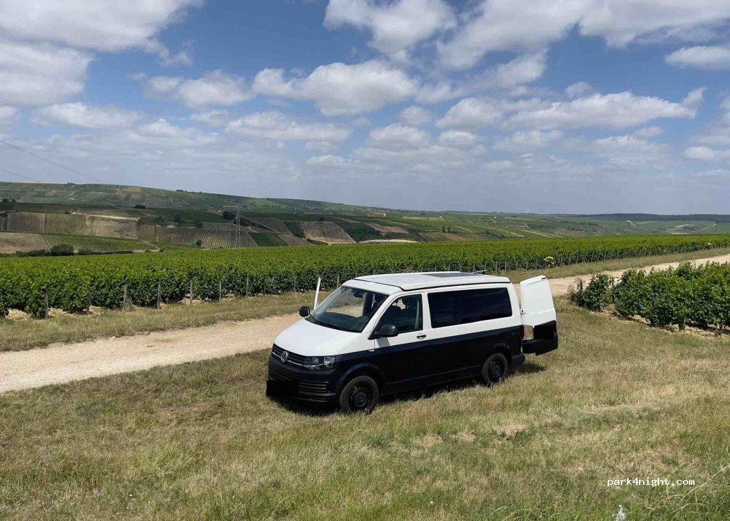 (18300) Sancerre - — foto
