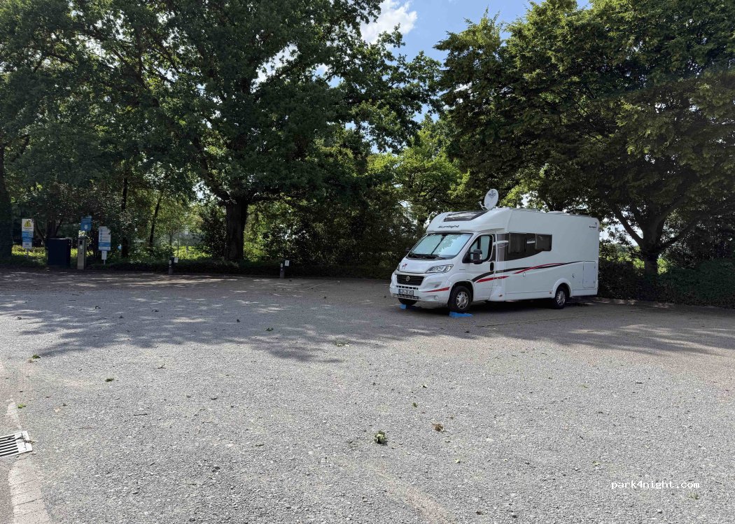 (48161) Münster - 311 Sentruper Straße — foto 5
