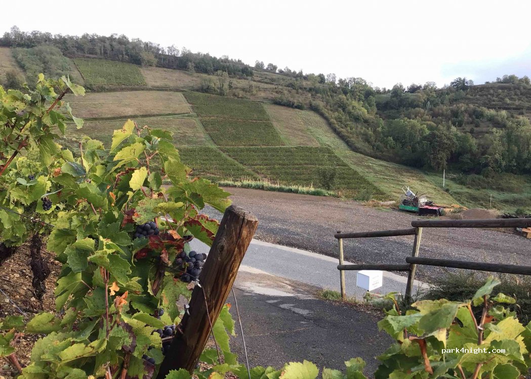 Domaine de Milhomme — foto