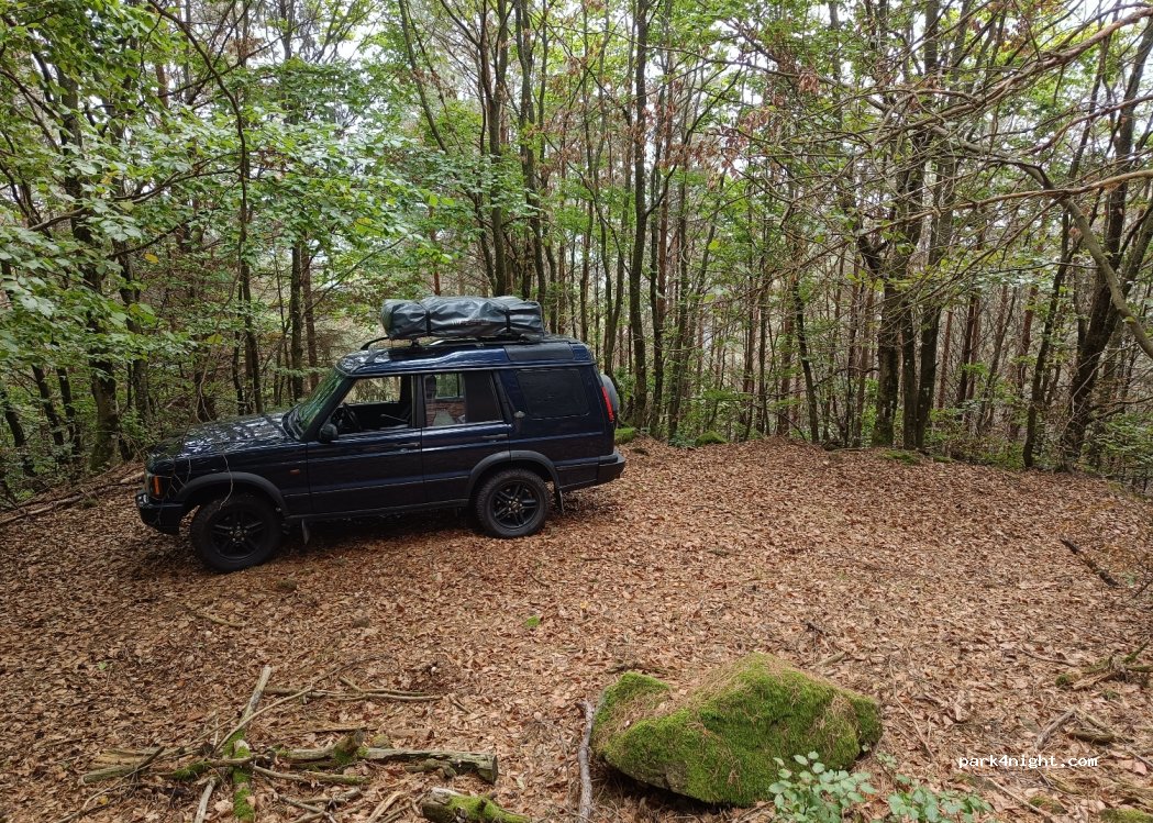(67330) Dossenheim-sur-Zinsel - — foto