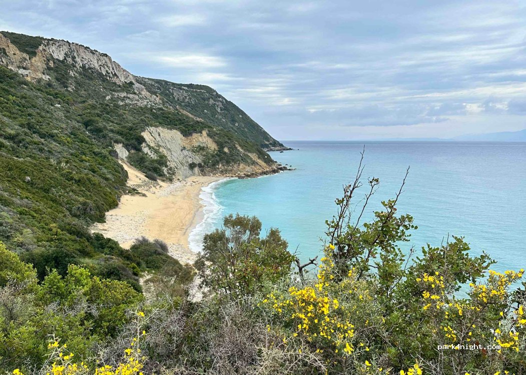 (280 86) Elios Proni - — foto 3