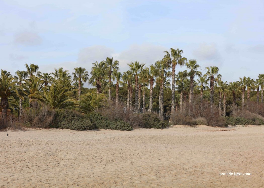 Camping Trillas Platja Tamarit — foto 2