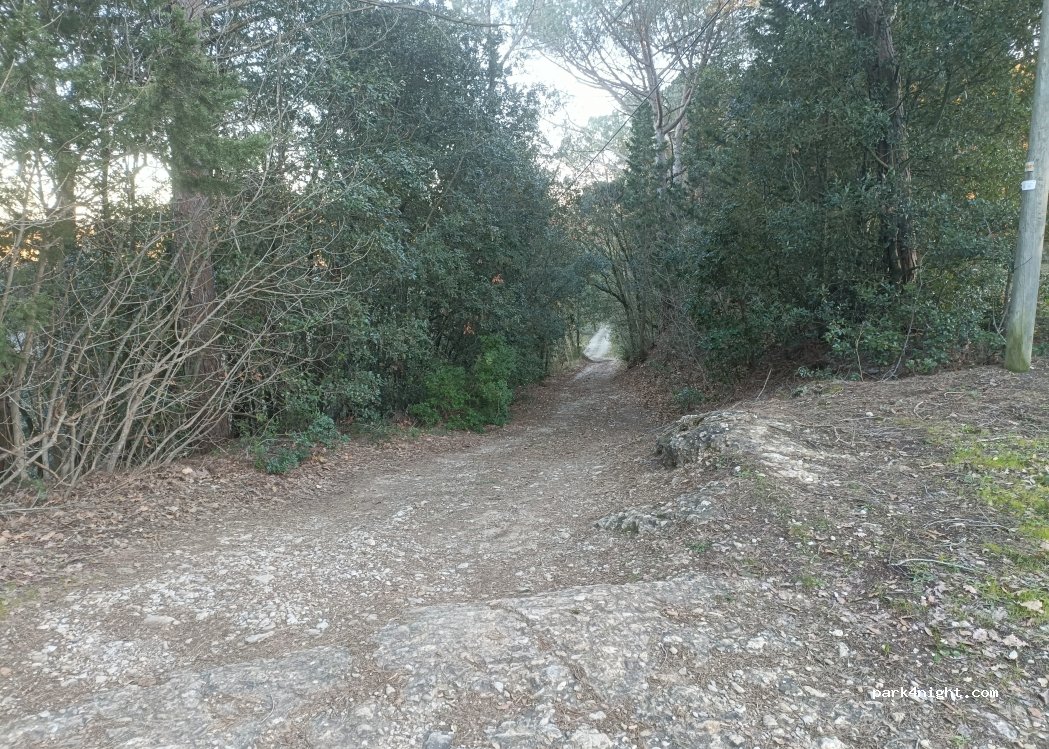 (50025) Montespertoli - — foto 5