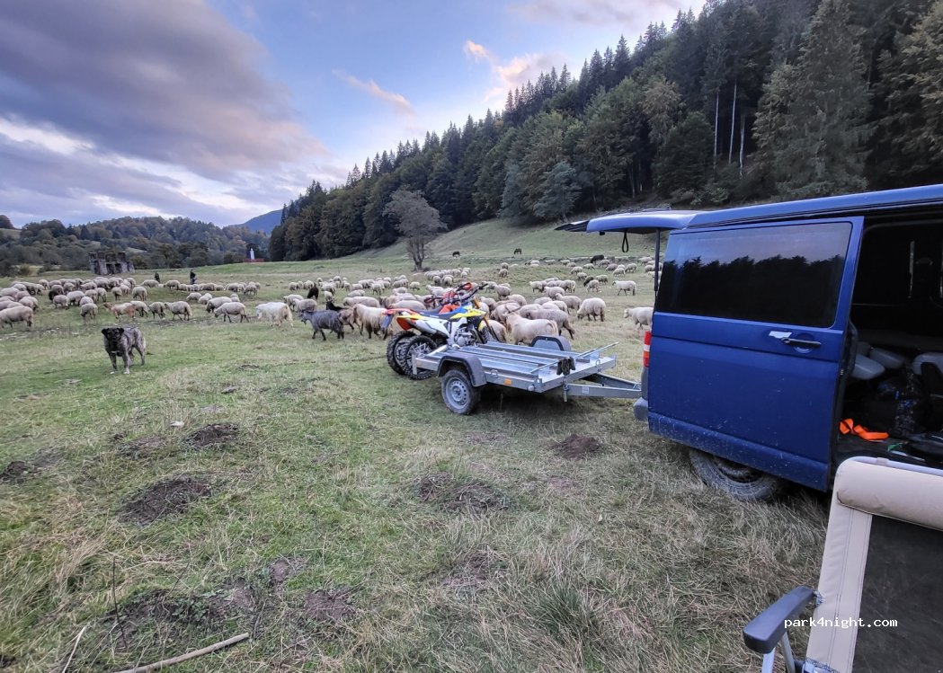 (507247) Buzăiel - — foto 2