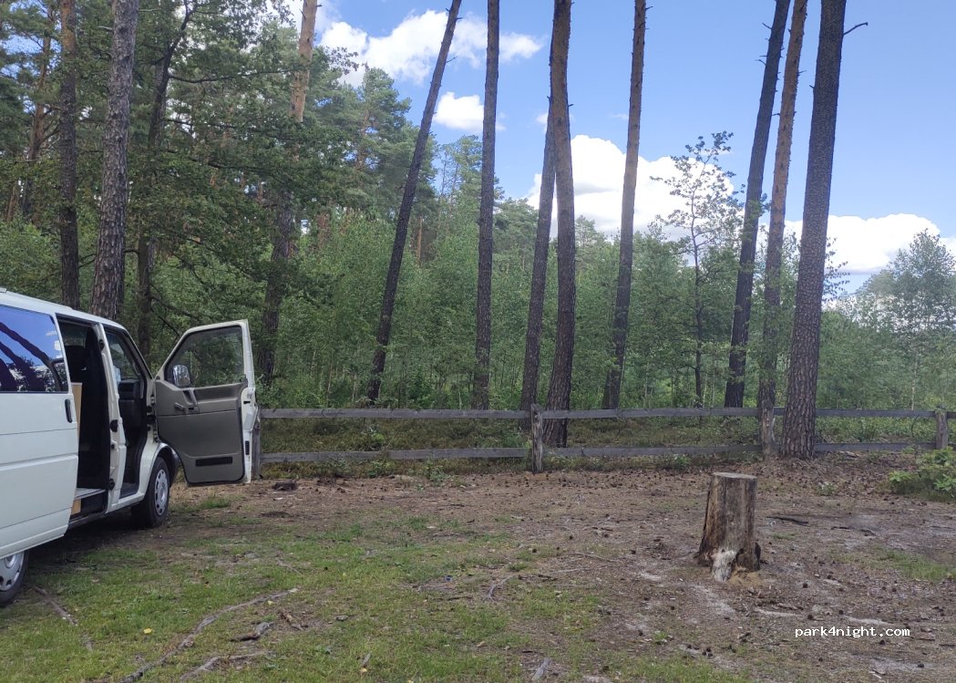 (95-082) Mogilno Małe - — foto 3