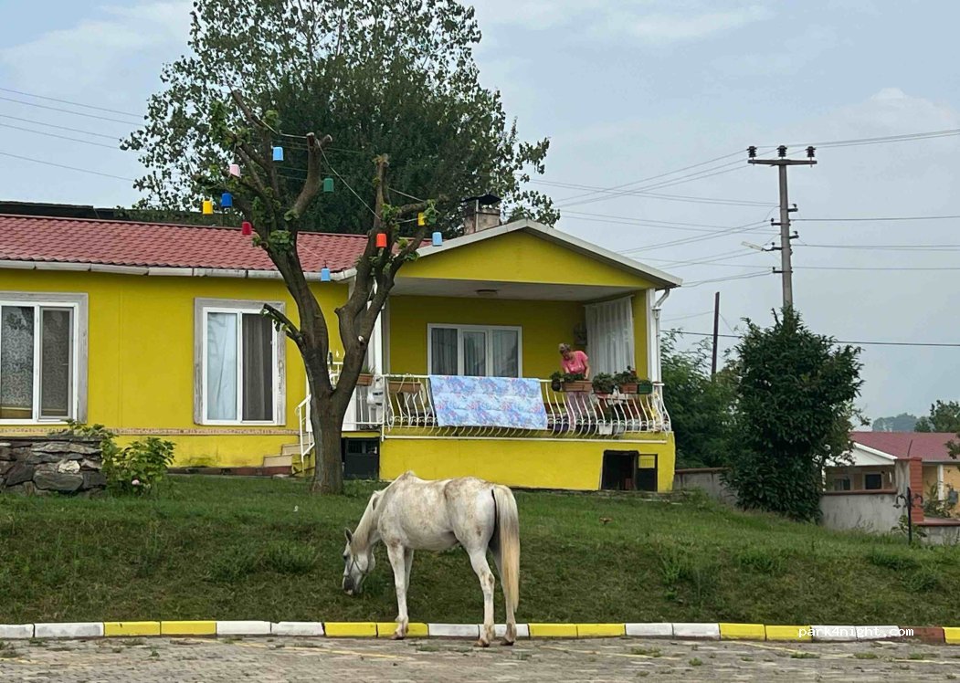 Kervansaray natural camping — foto