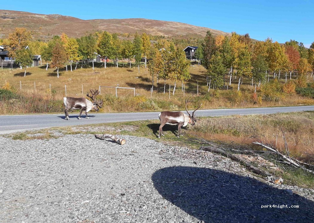 (2683) Tessanden - 2977 Sjodalsvegen — foto
