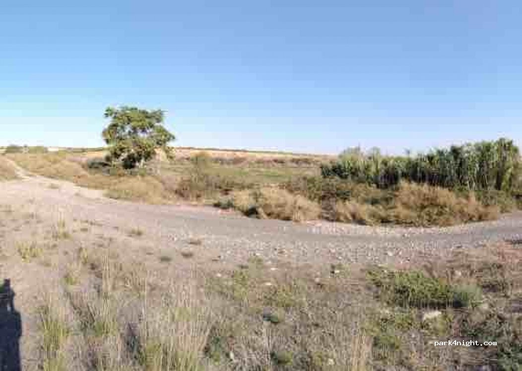 (25126) Almenar - — foto