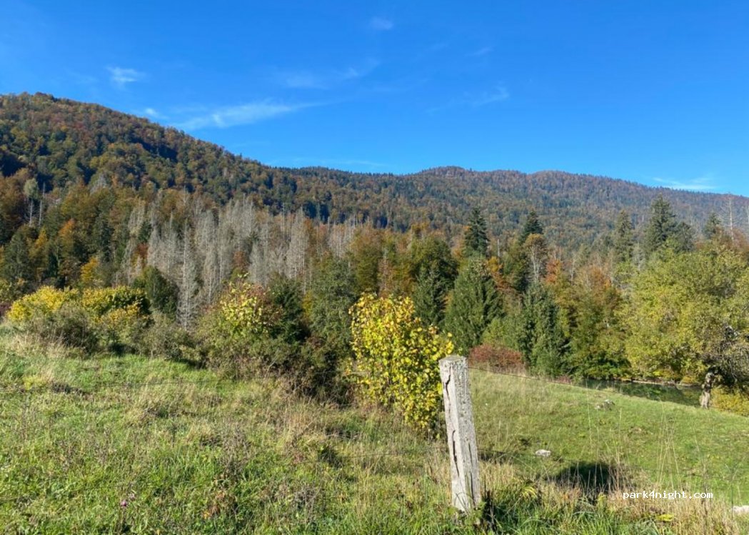 (1338) Kočevska Reka - Kočevska Reka — foto