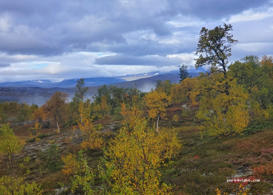 (8255) Graddis - Unnamed Road — foto 4