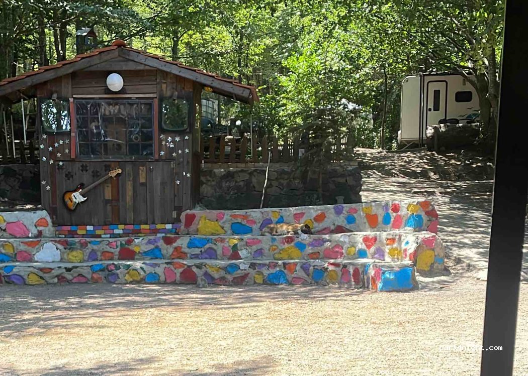 Ayvaz Camping — foto 5