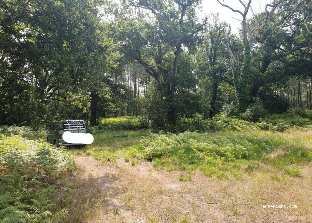 (40200) Saint-Paul-en-Born - 521 Route du Hiou — foto