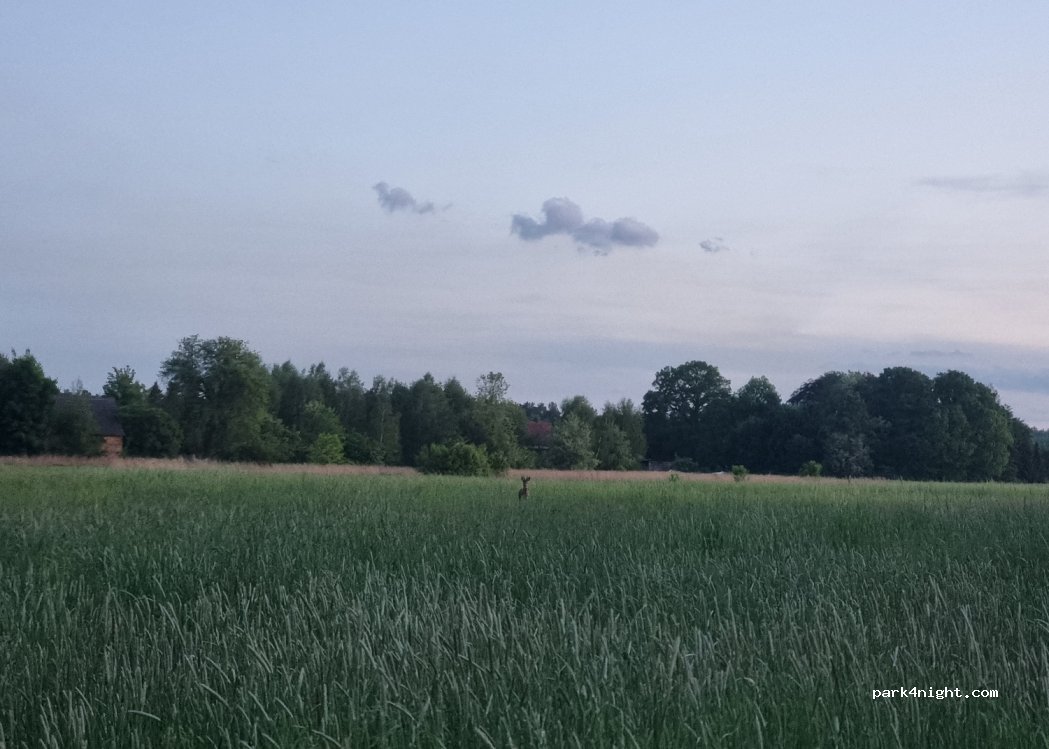 (02957) Weißkeißel - Zum Floßgraben 12A — foto