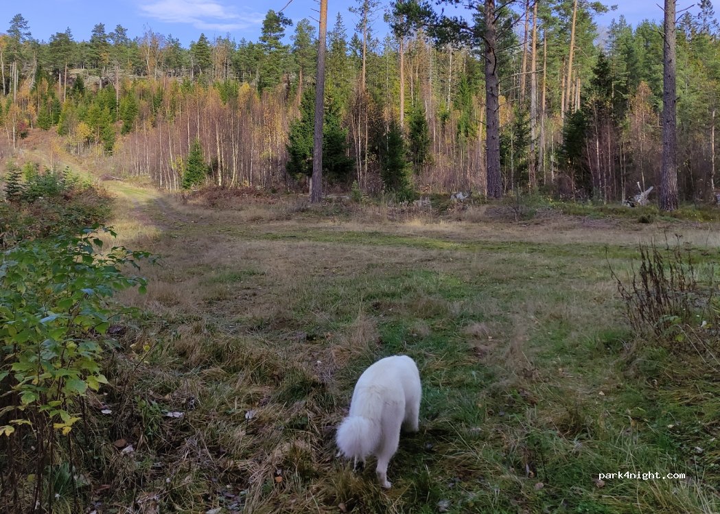(870 31) Mjällom - Unnamed Road — foto