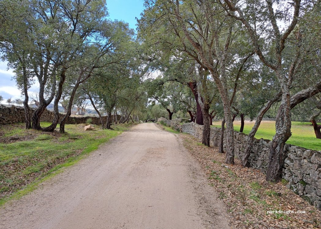 (10519) Lanchuelas - — foto 4