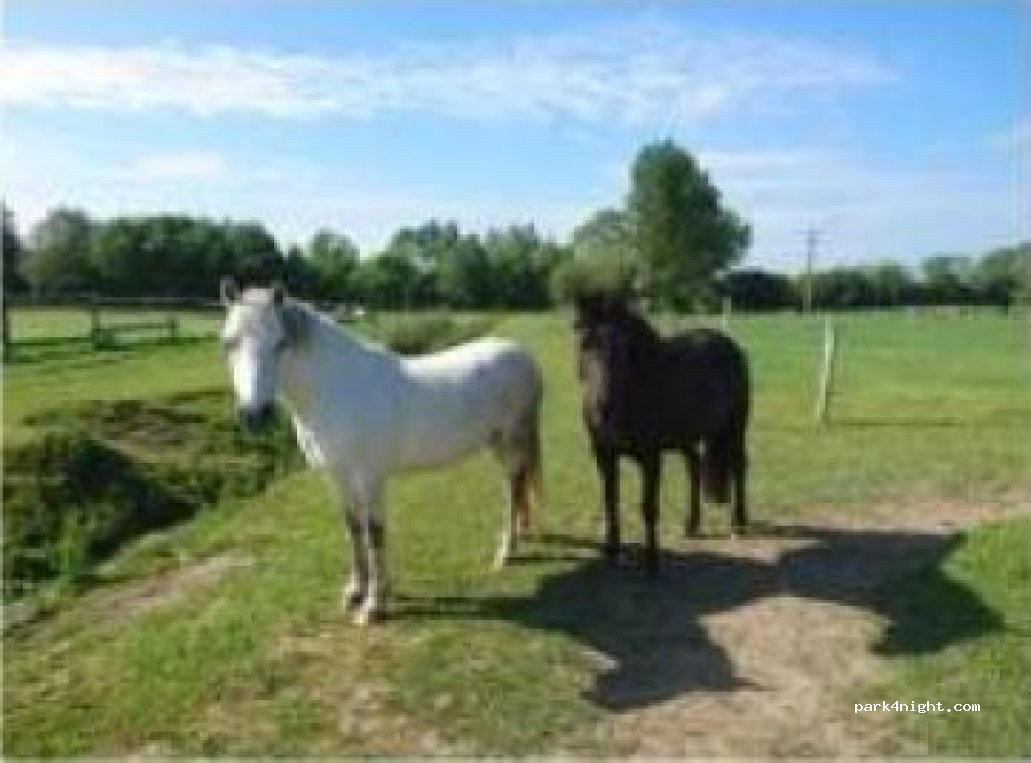 Camping De La Bourrelière — foto 2