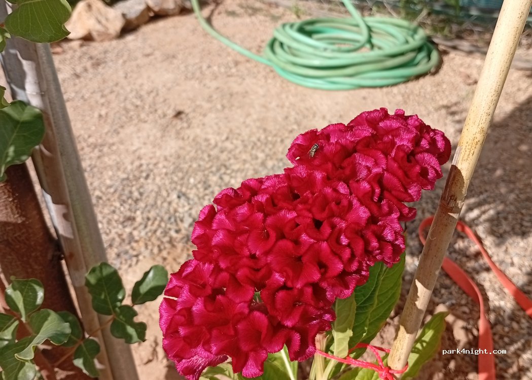Área el jardín del viajero — foto 5