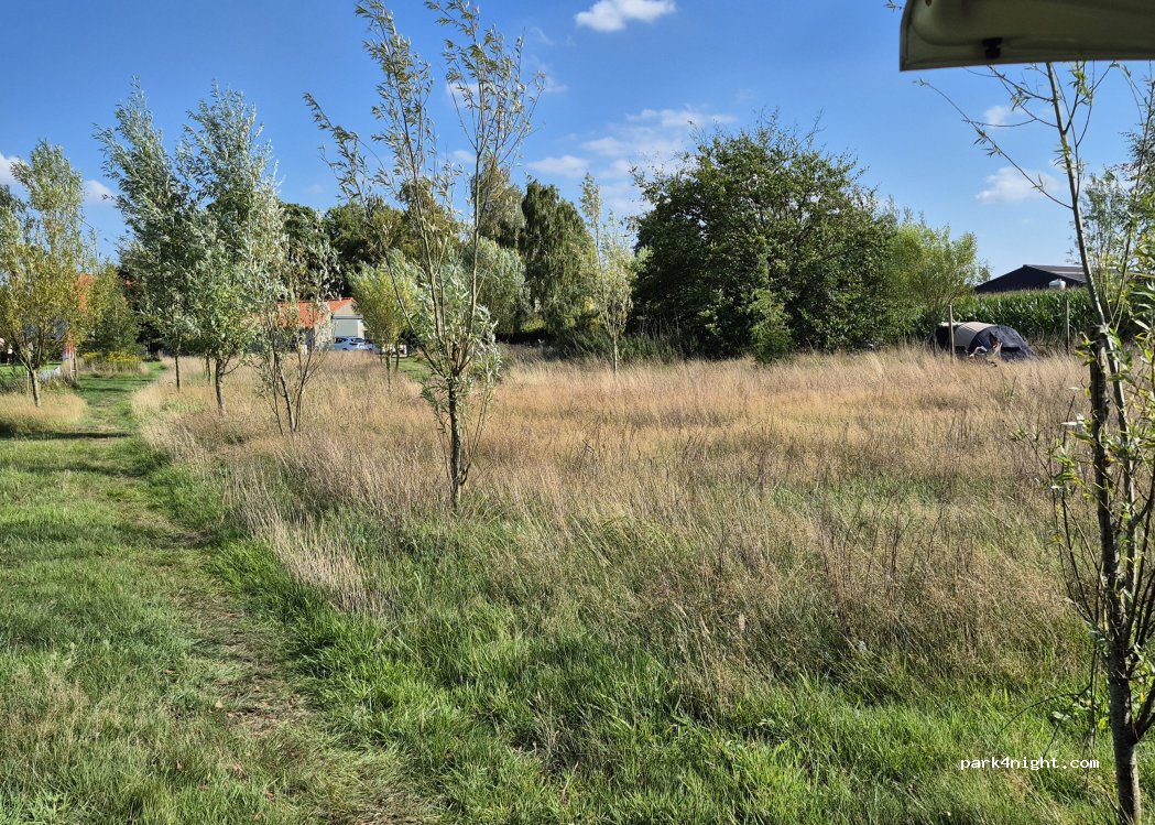 B&B en Micro Camping De Lieve Wies — foto 5