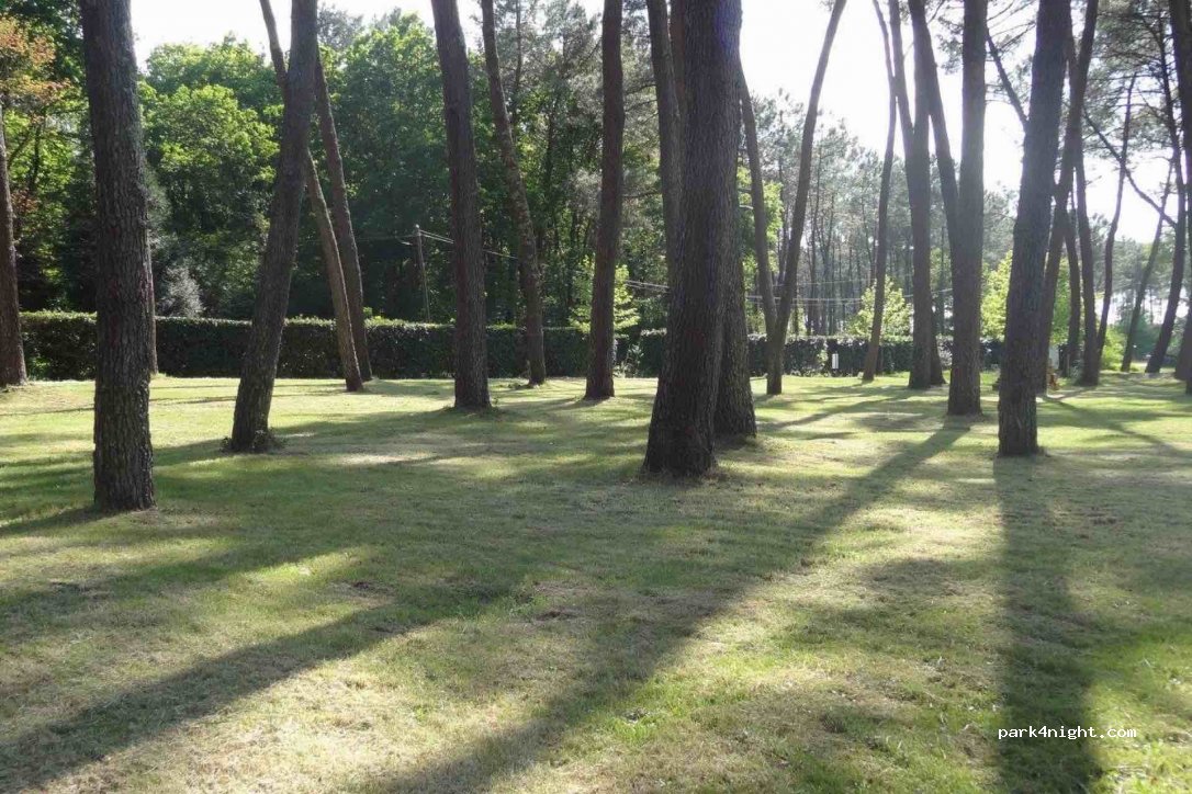 Camping Black Bridge — foto 2