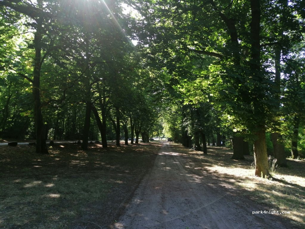 (62-022) Rogalin - 1/3 Arciszewskiego — foto 2