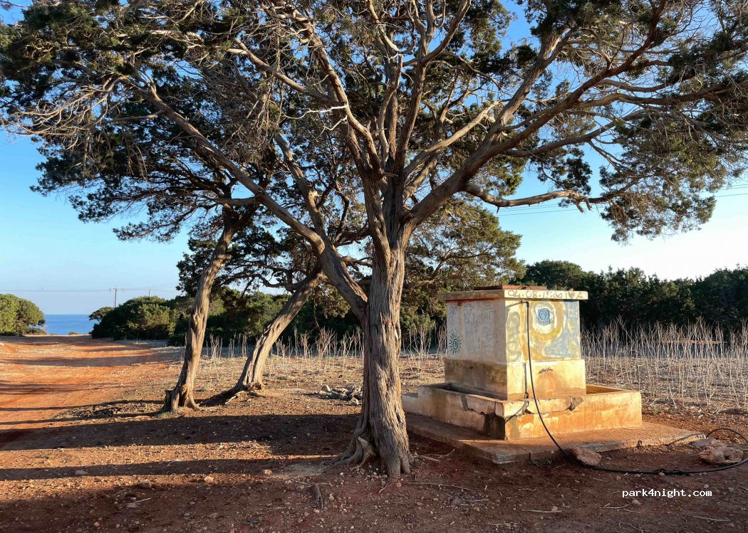 Dipkarpaz - — foto