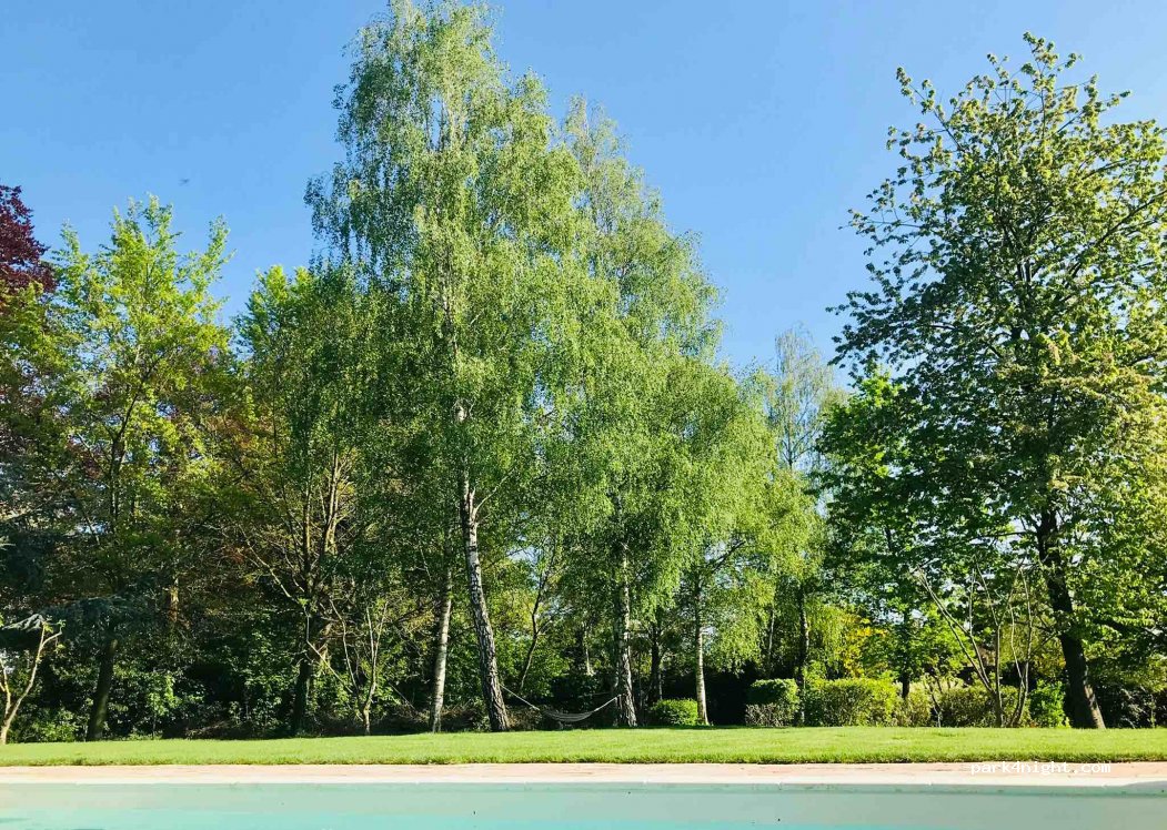 Les 3 Tilleuls — foto