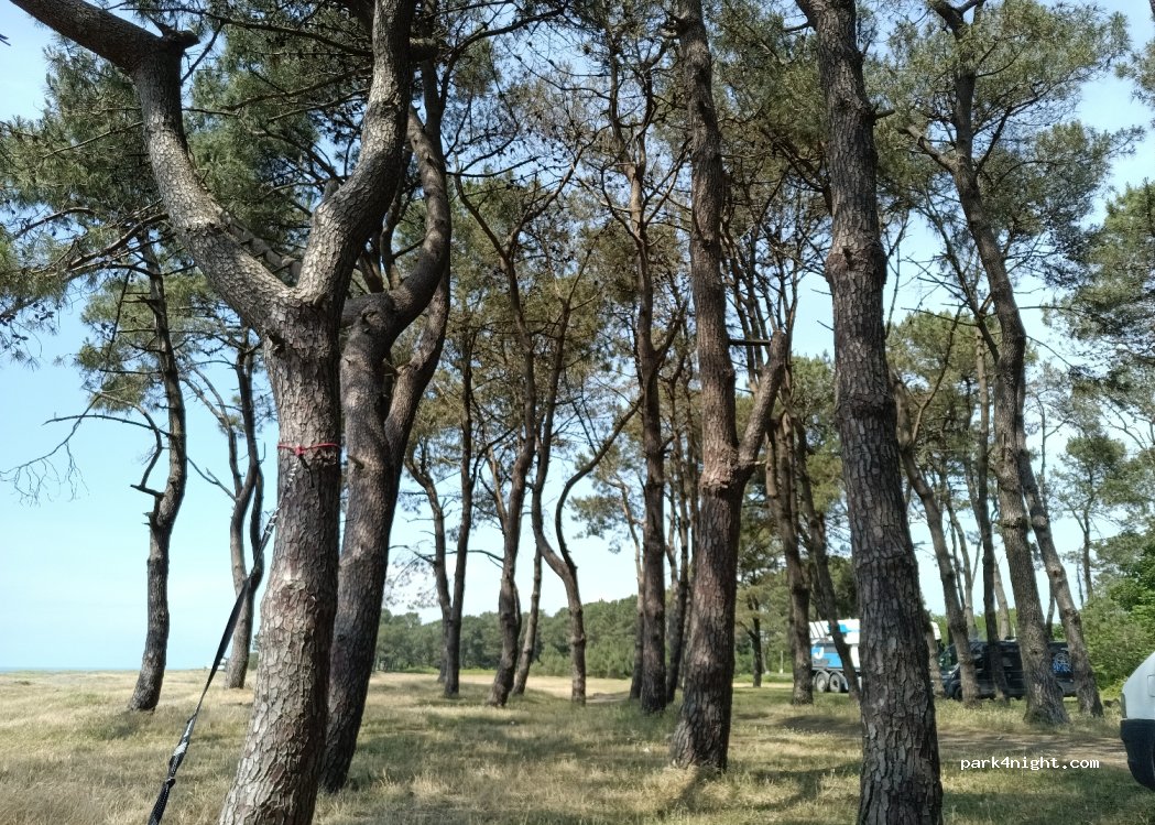 (6200) Kobuleti - — foto 2