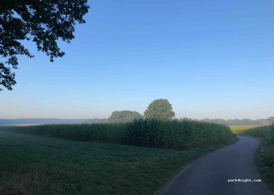 (47533) Kleve - Treppkesweg — foto 4